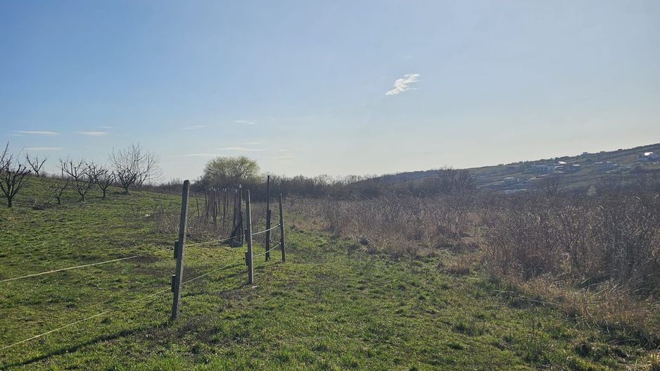 Teren intravilan Saldabagiu de Munte 850 mp - Poză 4
