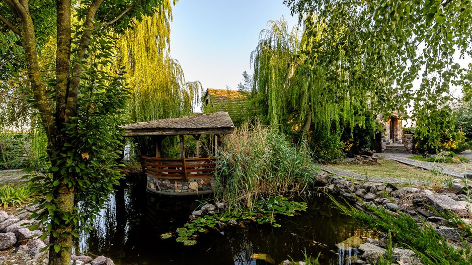 Refugiul Medieval în mijlocul Naturii. Deschide poarta către trecut! - Poză 7