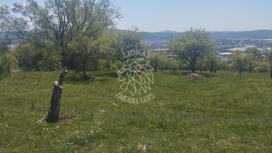 Teren 2900 mp la drum principal-Parcelabil-panoramic-Sarata - Poză 3
