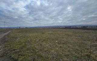 Teren Intravilan 10.000MP Zona Partos - Poză 1