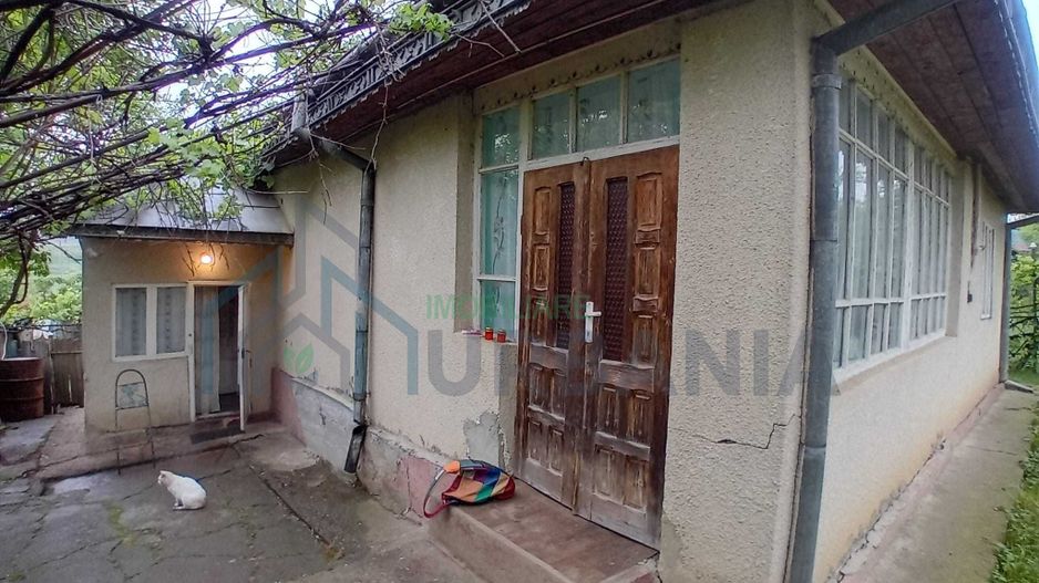 Casă cu grădină și anexe în Hoișești, la 20 minute de Iași - Poză 2