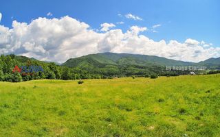 AZURA Imobiliare Pitesti - Casă de vacanță, Nucșoara! - Poză 44