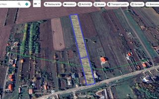 INVESTIȚIE - Teren 10.000 mp, intravilan + extravilan, str. CASTANILOR; - Poză 2