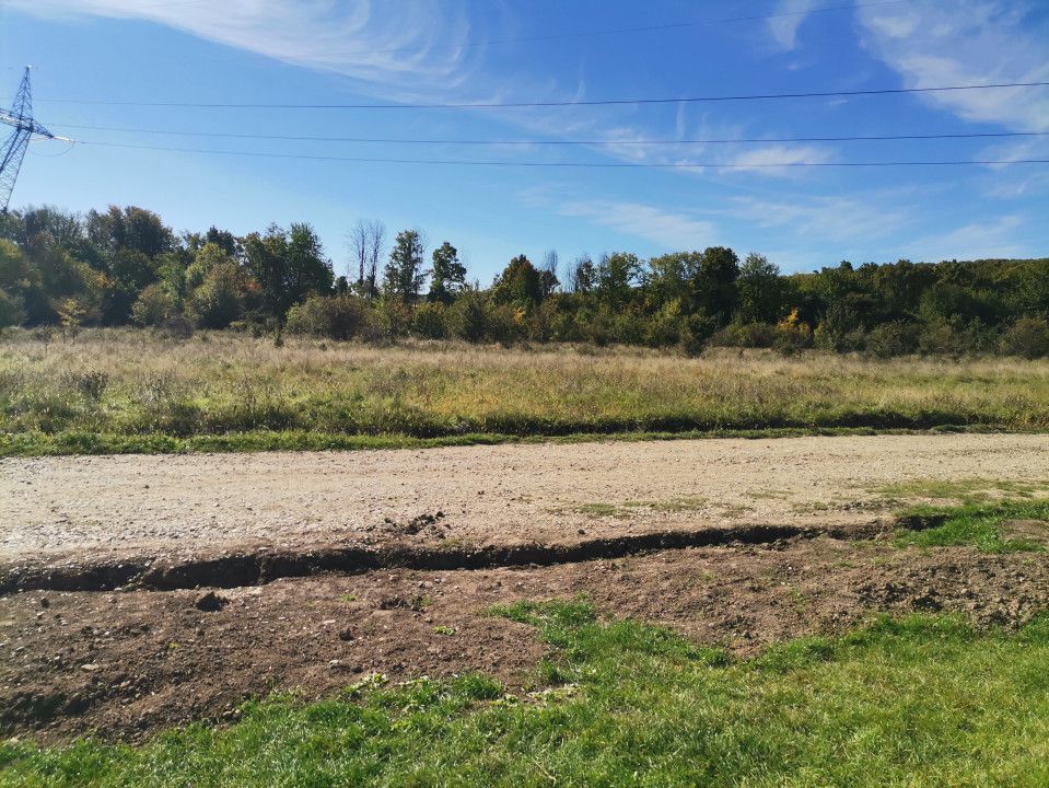 Vanzare teren intravilan, Smeura - Poză 4