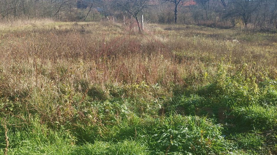 CASĂ PĂLTINIȘ\JUD. CARAȘ-SEVERIN\ COMISION 0% - Poză 24