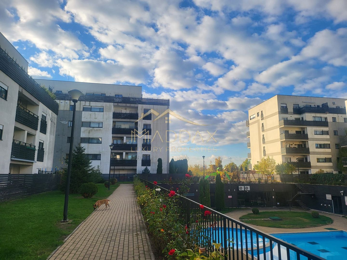 3 Camere | 77 mp Utili | Boxă Inclusă | Piscină & Fitness | Lângă Pădurea Băneas - Poză 1