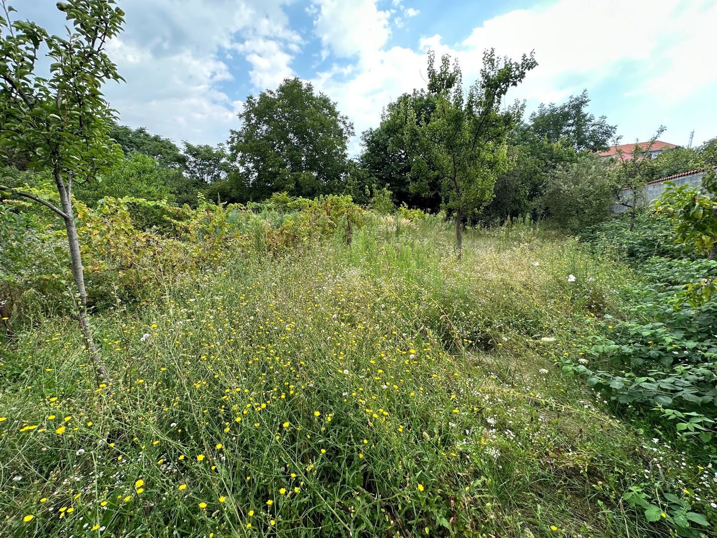 Casa zona Bălcescu teren 1082 mp - Poză 22