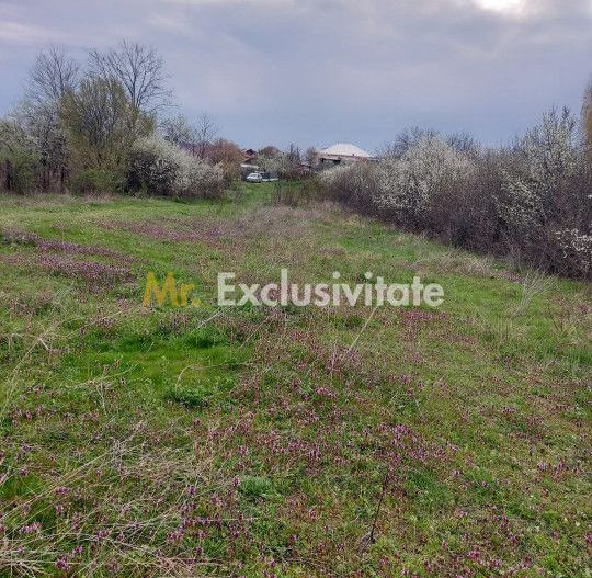 Teren Topoloveni - 3670 mp - langa padure, aproape de Centrul orasului - Poză 5