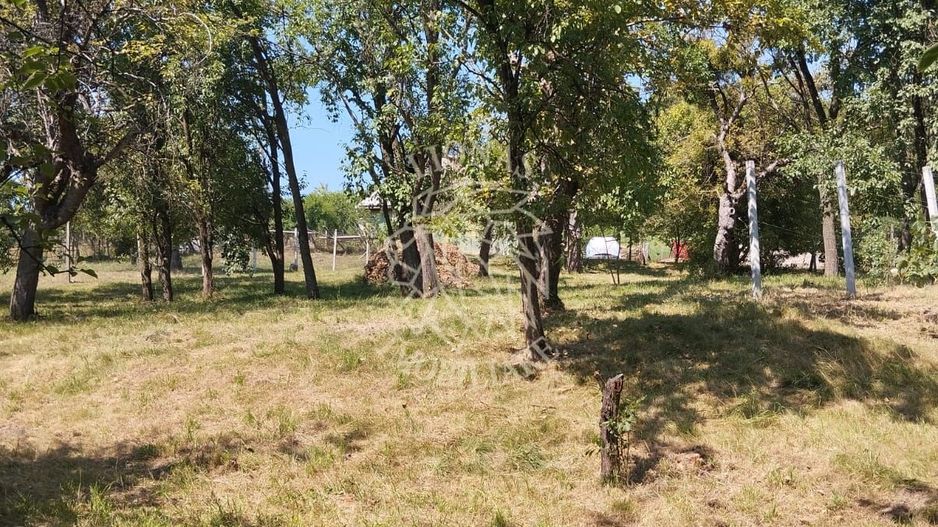Teren intravilan 2828 mp+autorizatie casa-anexe-livada-Dorolea - Poză 4