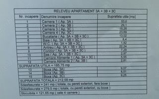 Apartament 4 camere Piata Romanilor - cladire istorica - Poză 2