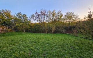 Casa 127mp mobilata/utilata+ anexa+garaj+beci+teren intravilan 1233 mp - Poză 30