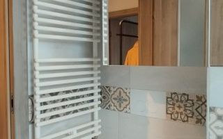 Apartament 2 camere zona Aradului-Torontalului - Poză 11