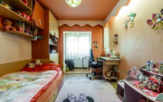Apartament 3 camere Micalaca 300. Vedere superbă spre Mureș - Poză 8