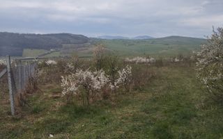 Teren 2100 mp-ideal casa de vacanta, investitie-Budacu de Jos - Poză 3