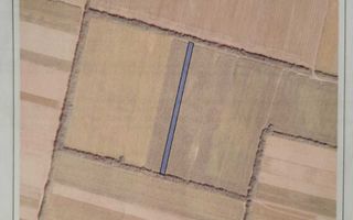 Teren arabil si padure de vanzare - Poză 3