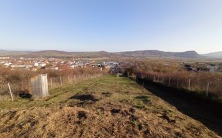 Teren intravilan 2700 mp-ideal case/investitie-Viisoara - Poză 5