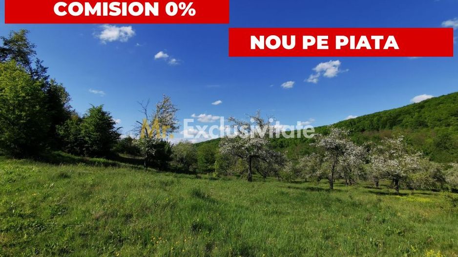 Teren 680mp Budeasa Mica, AG - Poză 1