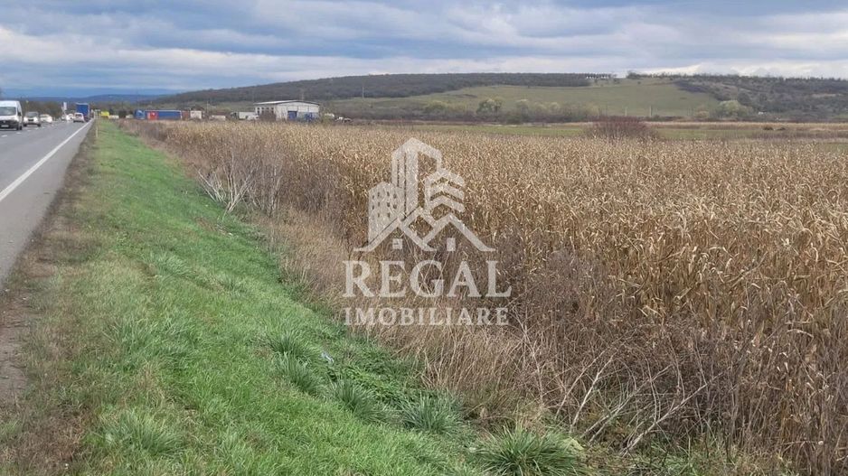 Teren intravilan 3800 mp, zona Santandrei - Poză 5