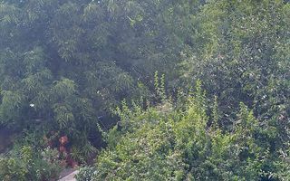 Teren constructii intavilan de 600 mp, Popesti-Leordeni - Poză 3