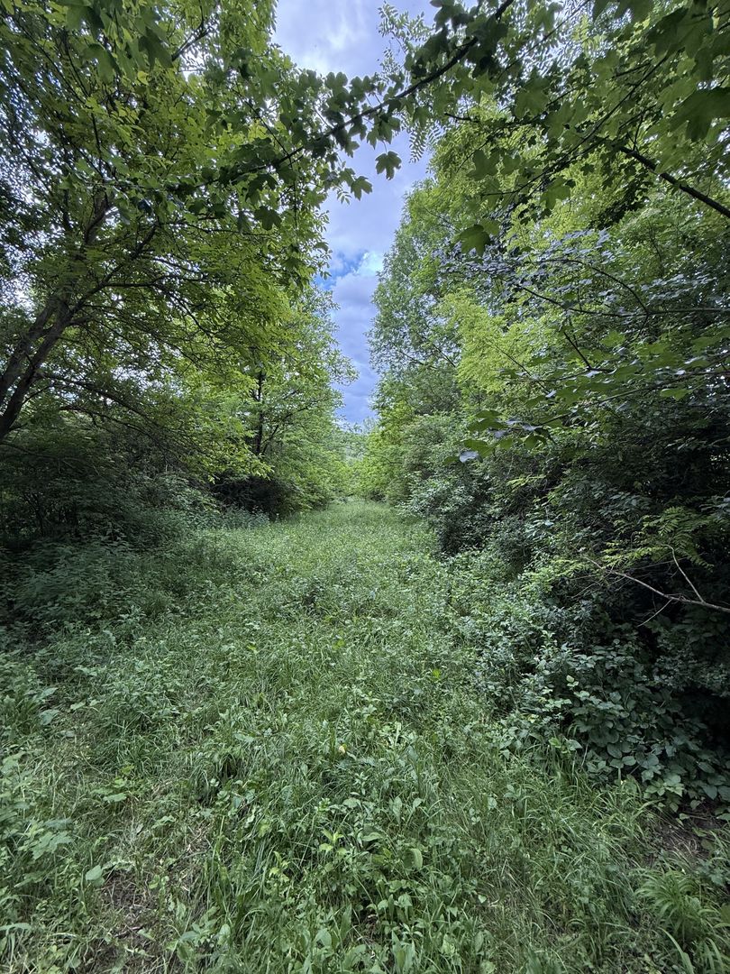 Teren plat-intravilan -3800 mp, cu pădurice și ieșire la râu! - Poză 17