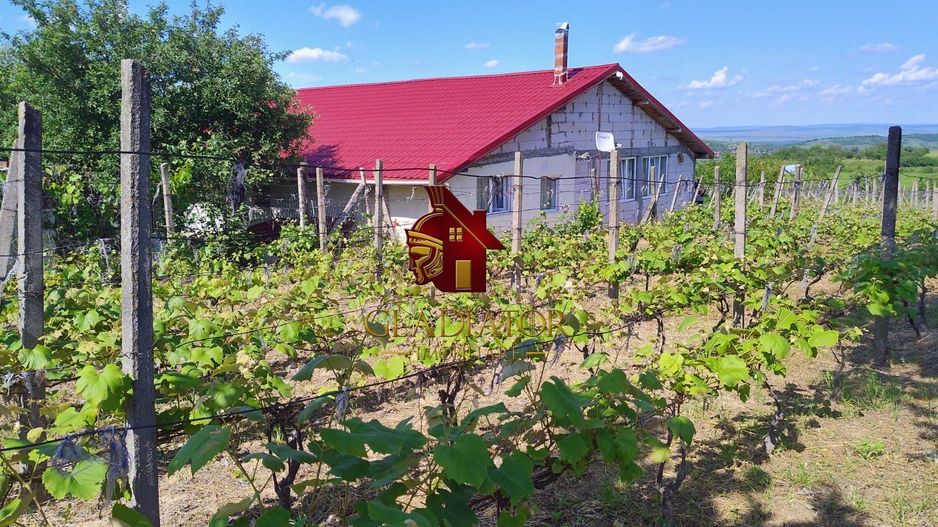 Casa + garaj + 1400 mp teren in Tomesti Goruni, zona de vis, nu rata - Poză 21