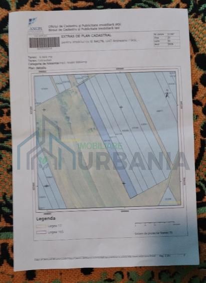 Teren extravilan de vanzare in Aroneanu, Iasi - 6.664 mp - Poză 1