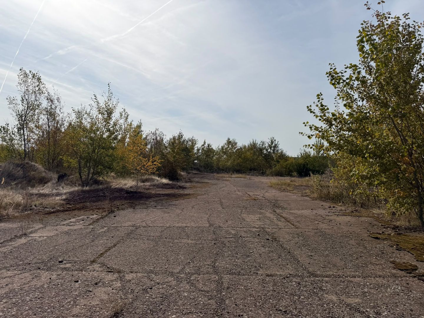 Platformă industrială 37,6 ha, Valea Călugărească cu proiect de racord feroviar - Poză 14