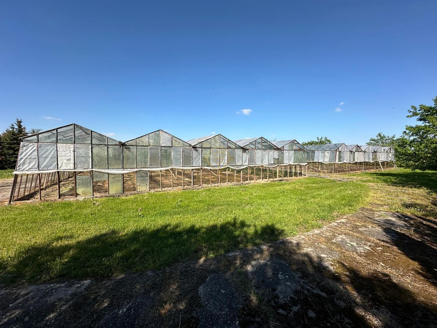 De vanzare Teren 20000MP cu sere/solarii și plantații - Poză 6
