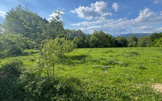 TEREN INTRAVILAN 2943 MP CAMPULUNG - Schiță 12