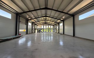 Hala + Birouri 600 mp Echipată | Jucu Industrial | Acces TIR | 3.800€ - Poză 4
