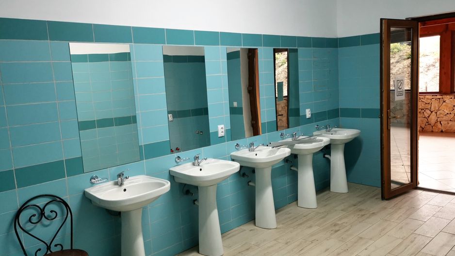 Ferma pomicola cu teren livada 270 ha - Timis - Poză 19