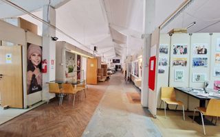 Spatiu industrial de inchiriat in Sebes - Poză 1