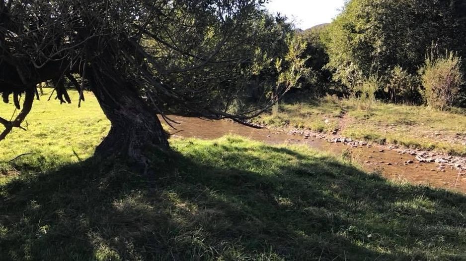 Teren intravilan in Plaiul Foii, Zarnesti - Poză 3