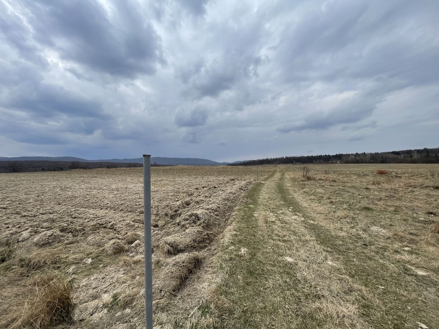 TEREN EXTRAVILAN | 23 ARI | HORODNIC DE SUS - Poză 9