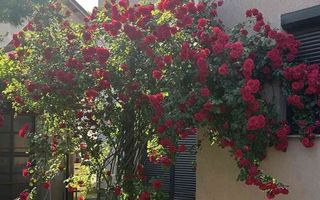 Lazu, ( cod 12 ) casă de vânzare,  Județul Constanța - Poză 8