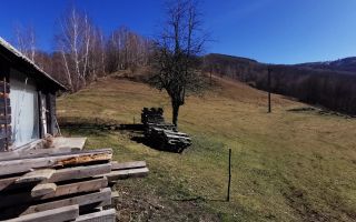 De vânzare teren intravilan 10,100 mp, cu anexă, Munteni - Poză 2