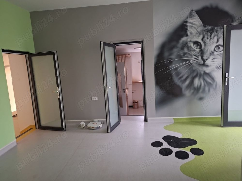 BRASADAS vinde casa 4 cam Sararie - Copou. - Poză 6