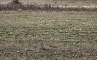 Teren parcelat | 2900 mp | Extravilan | Șelimbăr - Poză 1