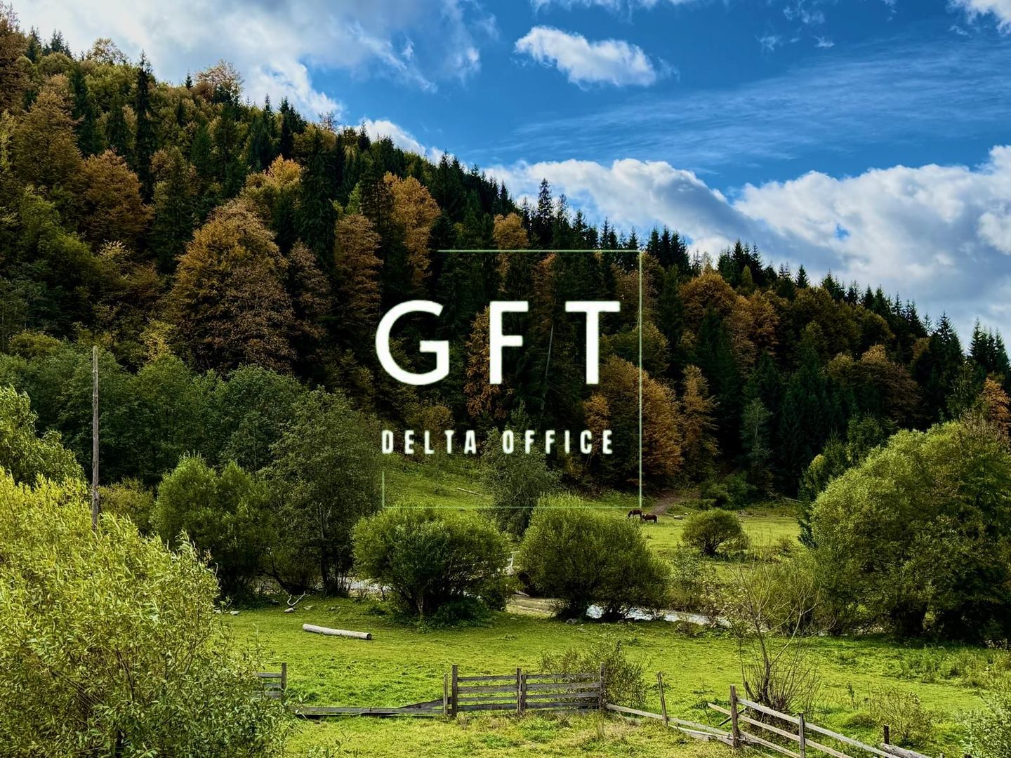 Teren de vanzare in Colibita , 500-6000 mp - Poză 3