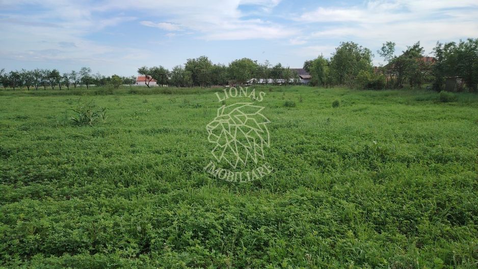 Oportunitate investitie 5 parcele teren intravilan ideal case/servicii-Rascruci - Poză 1