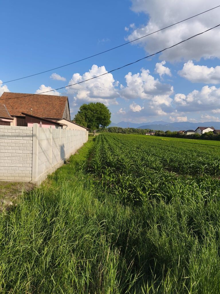 teren intravilan 700mp str. Fagurului, Stupini - Poză 3