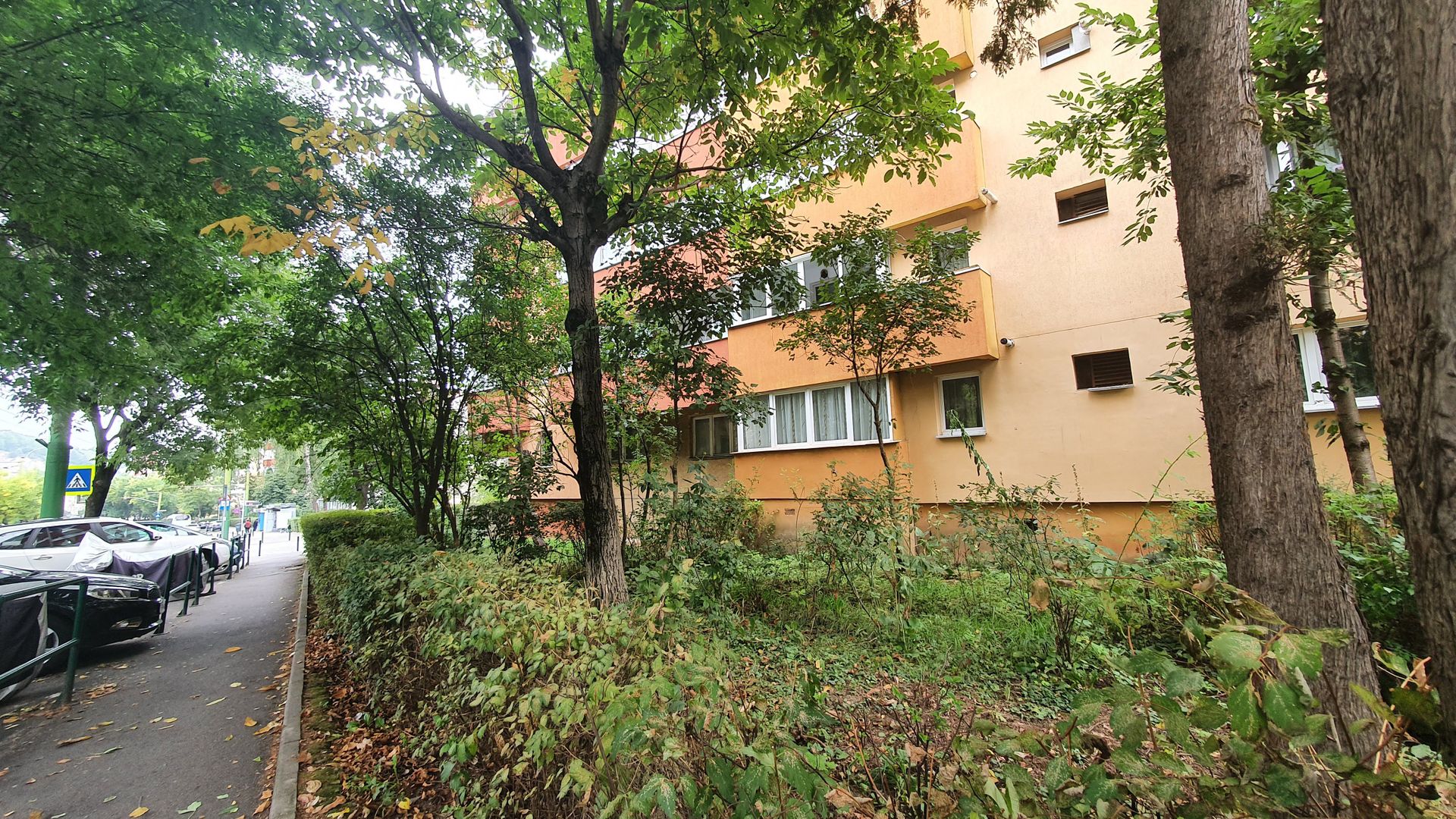 Comision zero.Racadau zona pietonal, 3 camere, 2 bai, parter inalt. - Poză 4