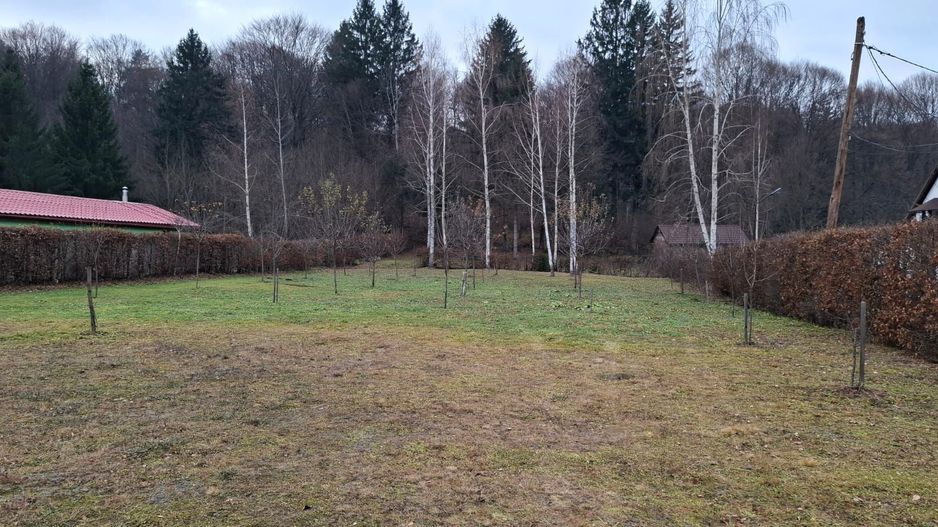 Teren intravilan, livada, langa padure,  pe Valea Avrigului - Sibiu - Poză 8