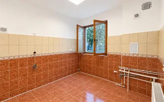 INCHIRIERE PARTER VILA | AVIATORILOR | 113MP | CURTE 110 MP | RENOVAT - Poză 11