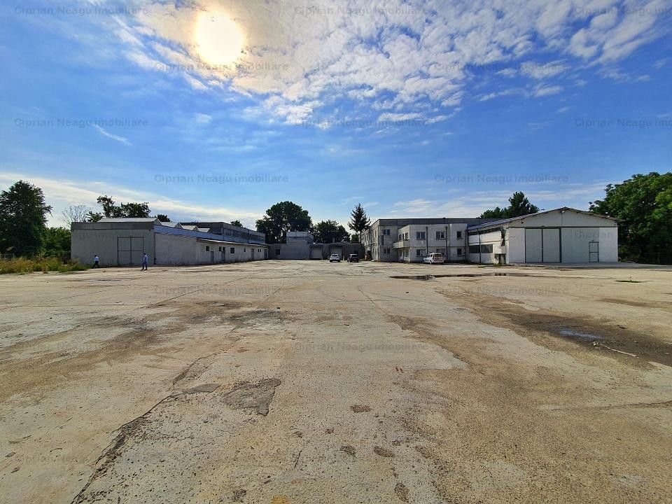 Hala De Inchiriat, zona Depozitelor Pitesti - Poză 33