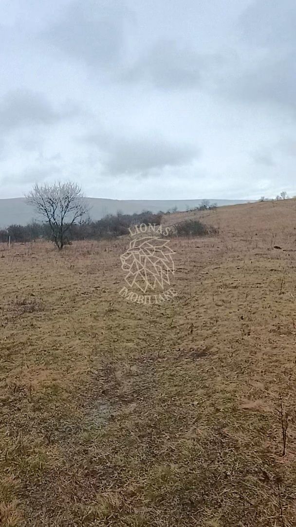 Teren 10000mp intravilan Chinteni 14 case aprobate  Investiție dezvoltator - Poză 3