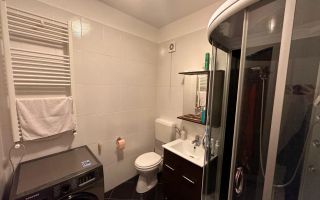 Apartament cu 2 camere de inchiriat, renovat, bloc nou, metrou Pacii - Poză 6