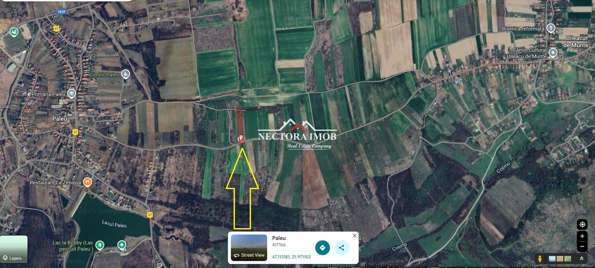 NECTORA IMOB-Teren Saldabagiu de Munte, aproape de Lac Paleu, 2880mp - Poză 1