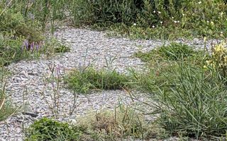 Teren intravilan 500 mp cu utilitati-ideal casa-Bistrita Bargaului - Poză 3