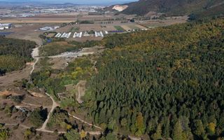 Aproape de Brașov, departe de agitație - Teren cu pădure în Cristian - Poză 7